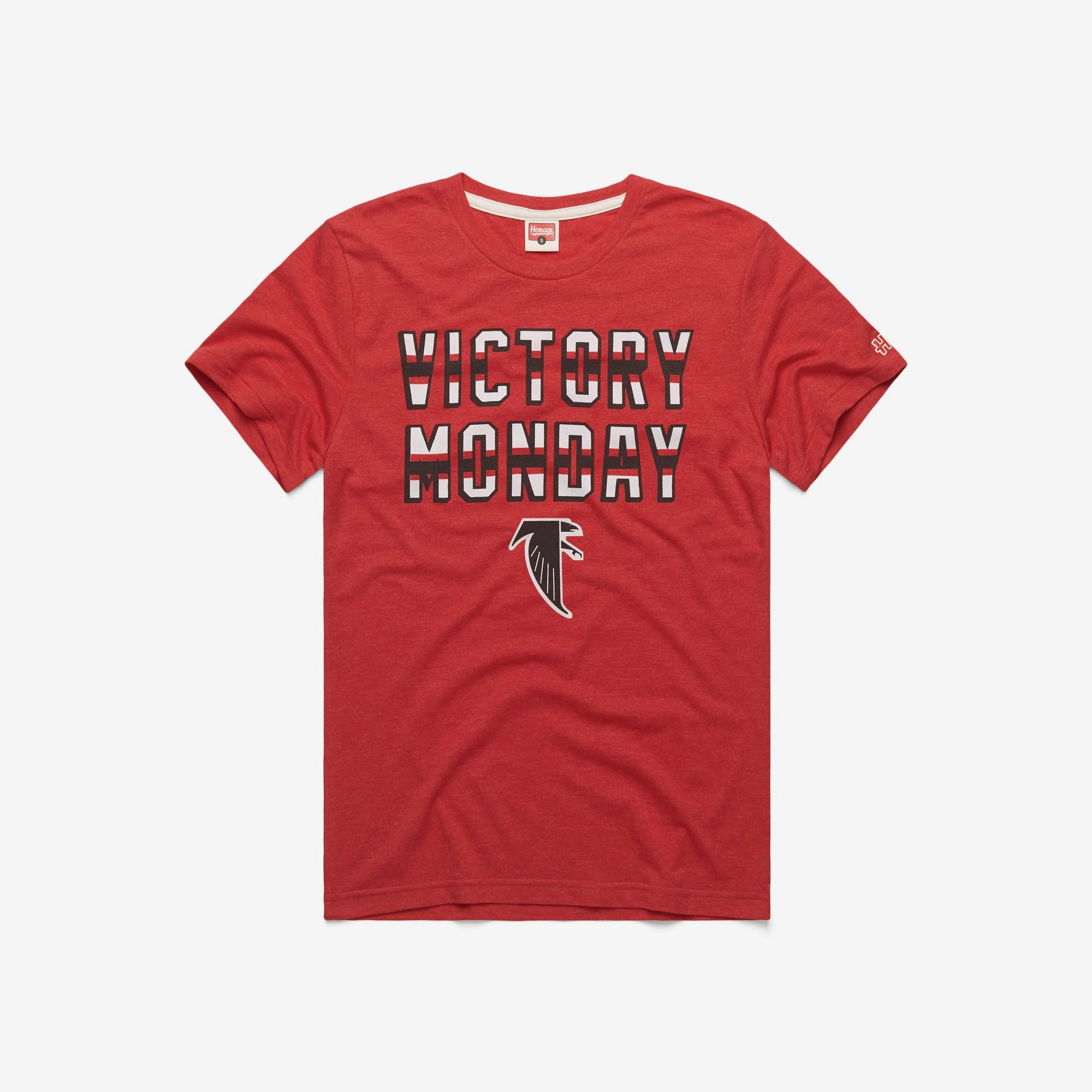 Atlanta Falcons Victory Monday