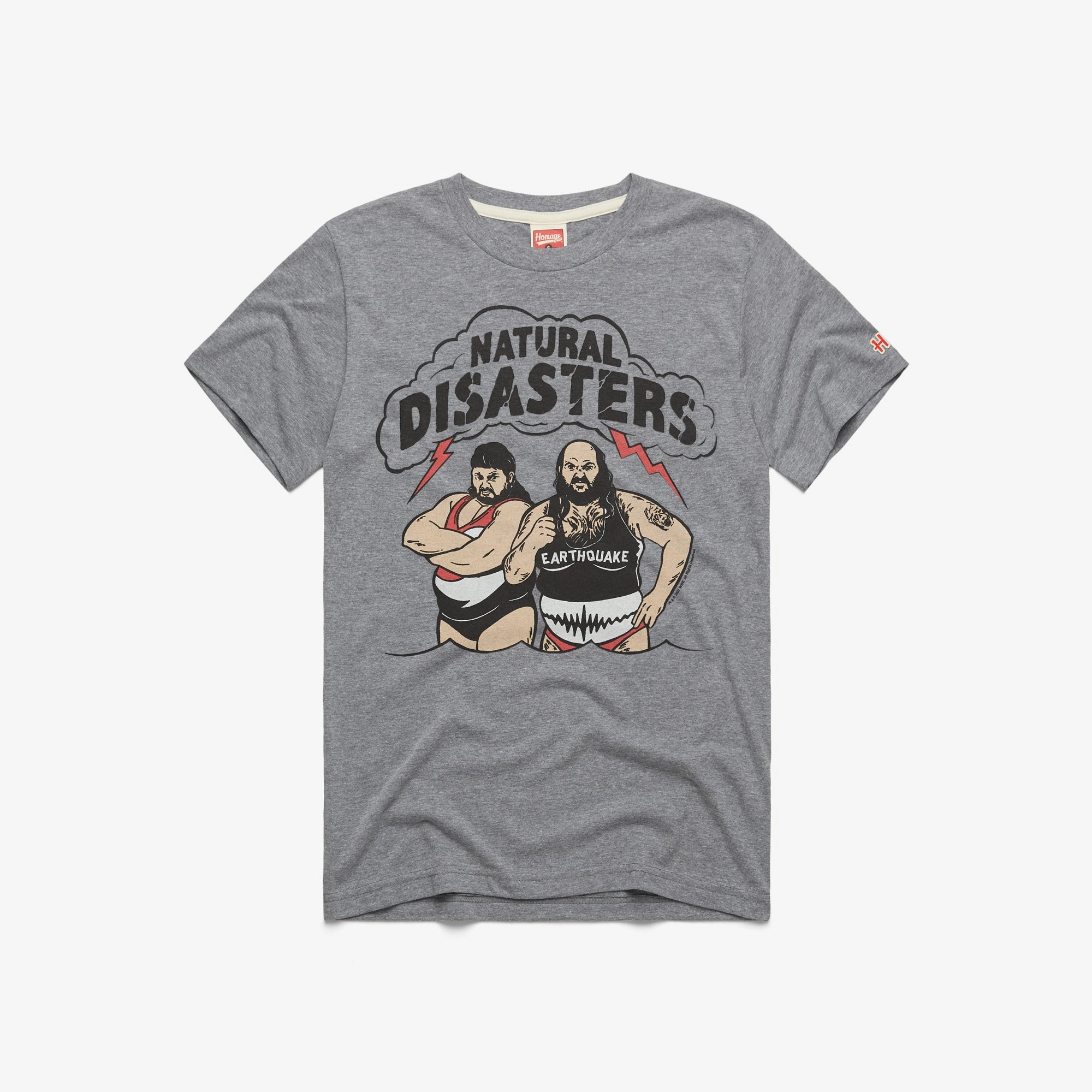 Natural Disasters Tag Team