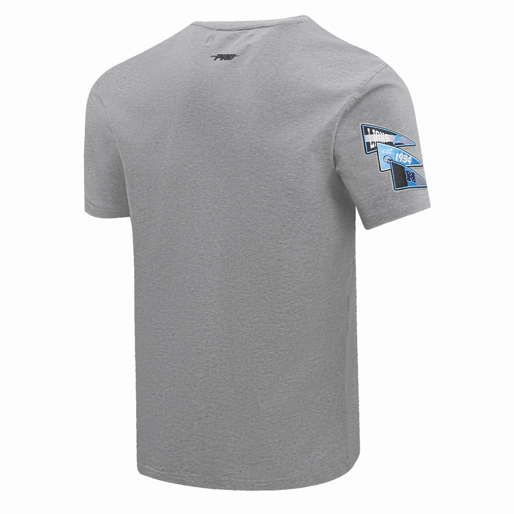 NFL DETROIT LIONS TEAM PENNANTS MEN'S   TEE (HEATHER GREY)