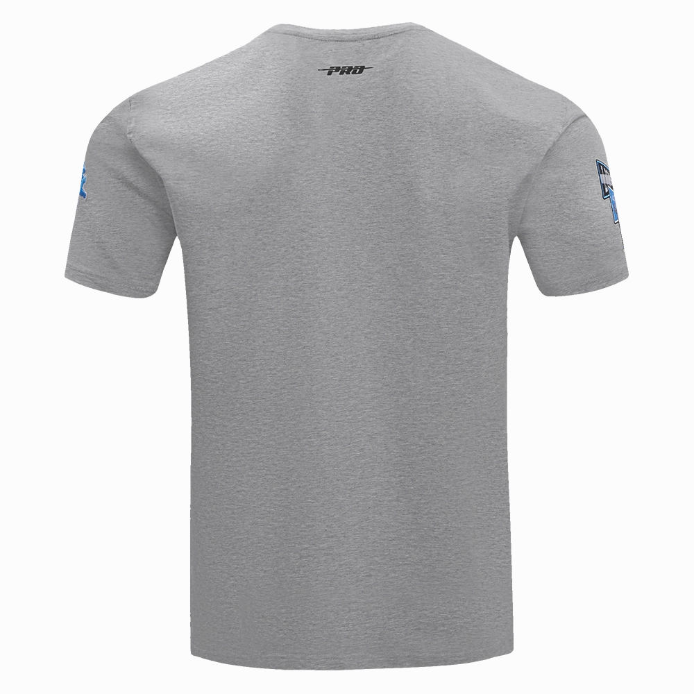 NFL DETROIT LIONS TEAM PENNANTS MEN'S   TEE (HEATHER GREY)