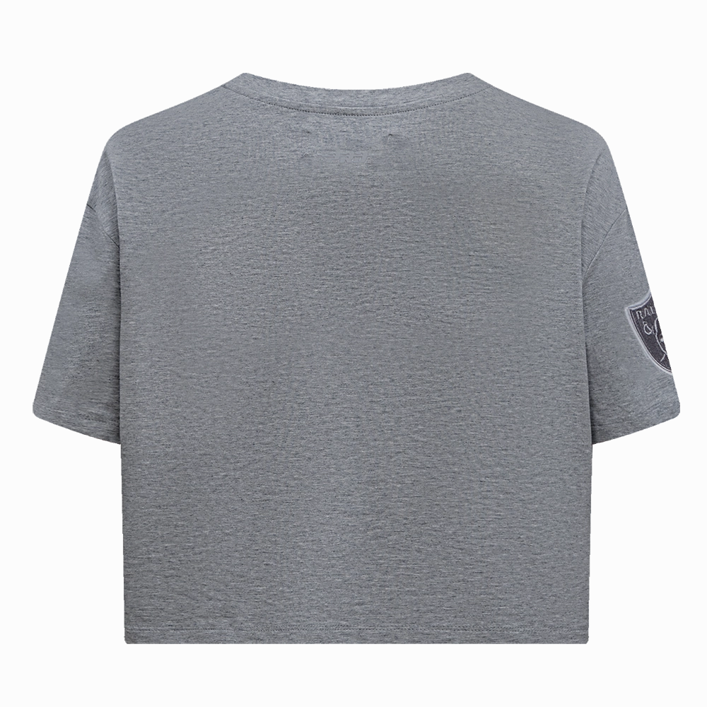 NFL LAS VEGAS RAIDERS NEUTRAL SINGLE JERSEY BOXY TEE (DARK HEATHER GRAY)