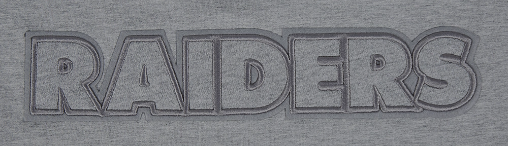 NFL LAS VEGAS RAIDERS NEUTRAL SINGLE JERSEY BOXY TEE (DARK HEATHER GRAY)