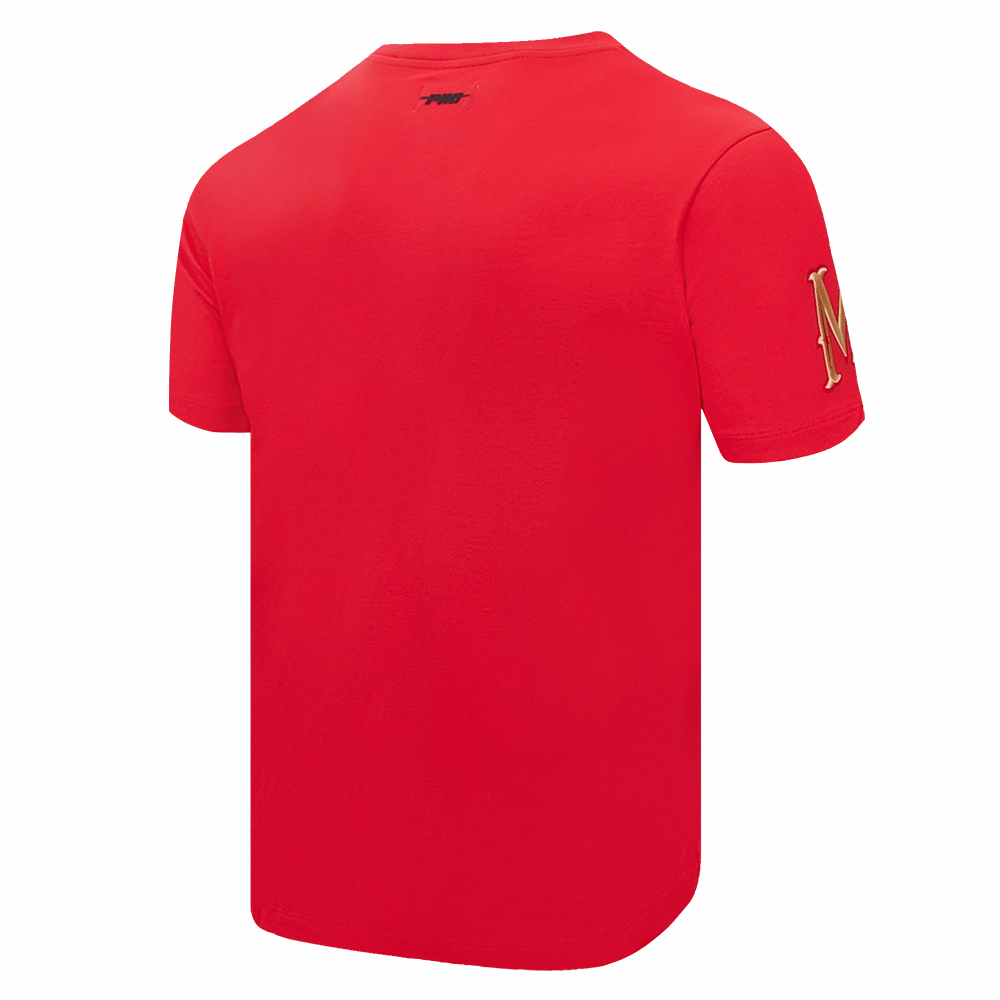PLAYERA NHL MINNESOTA WILD CLASSIC CHENILLE