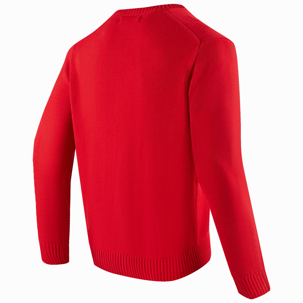 SUTER DE CUELLO REDONDO NHL DETROIT RED WINGS CLASSIC CREWNECK SWEATER