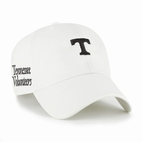 TENNESSEE VOLUNTEERS FOUNDATION '47 CLEAN UP