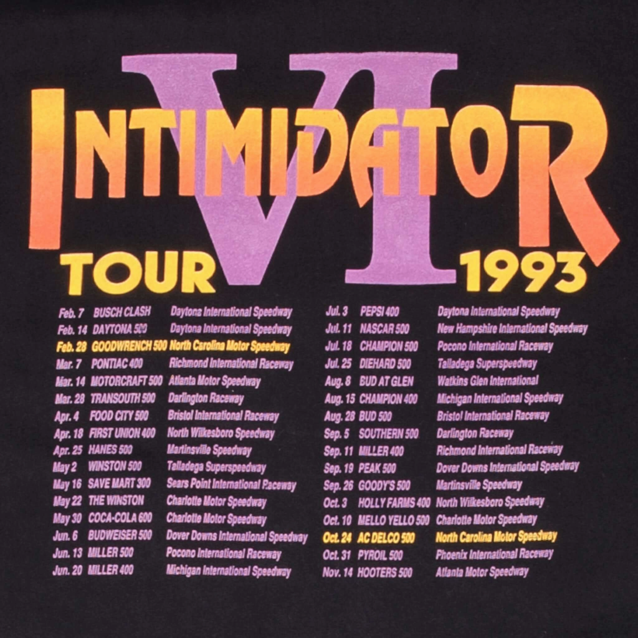 VINTAGE NASCAR DALE EARNHARDT INTIMIDATOR 6 TOUR 1993 TEE SHIRT MEDIUM MADE USA